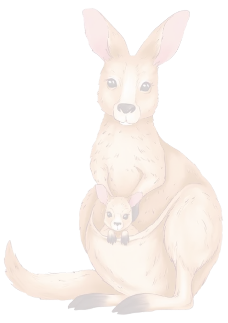 cangaroo image